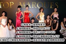 乌鲁木齐石家庄伴游司机雇用(石家庄伴游司机雇用信息)