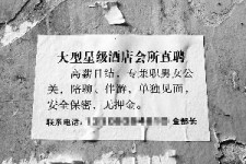 乌鲁木齐珠海伴游雇用网(珠海游览社雇用信息)