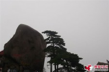乌鲁木齐上海伴游私家陪游雇用女模(上海伴游私家陪游雇用女模特)