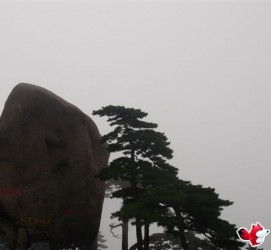 乌鲁木齐上海伴游私家陪游雇用女模(上海伴游私家陪游雇用女模特)