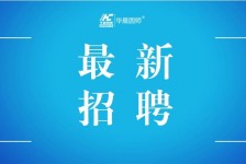 乌鲁木齐镇江伴游雇用驾驶员(镇江驾驶员雇用苍生网)