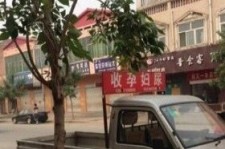 乌鲁木齐上海伴游 用伴游造句大全(5