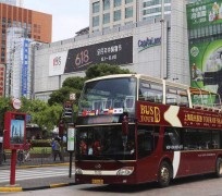 乌鲁木齐上海私人伴游 上海过年怎么玩？这些“微游”线路了解下→