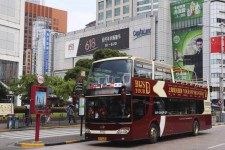 乌鲁木齐上海私人伴游 上海过年怎么玩？这些“微游”线路了解下→
