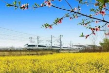 乌鲁木齐高铁游(高铁游戏下载手机版)