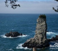 乌鲁木齐旅游全攻略(上海旅游全攻略)