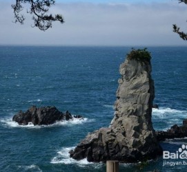 乌鲁木齐旅游全攻略(上海旅游全攻略)