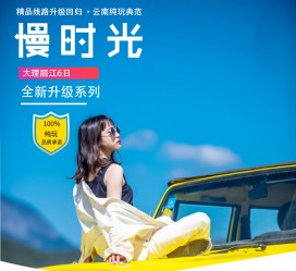 乌鲁木齐大理伴游网雇用(大理聪慧旅游开展有限公司雇用)