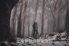 乌鲁木齐上海私人伴游 上海伴游，上海兼职伴游安全吗