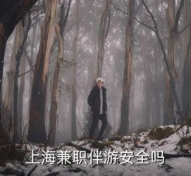 乌鲁木齐上海私人伴游 上海伴游，上海兼职伴游安全吗