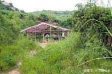 乌鲁木齐北海伴游兼职雇用信息(北海伴游兼职雇用信息大全)