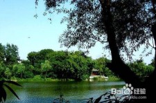 乌鲁木齐西湖旅游攻略(上海到杭州西湖旅游攻略)