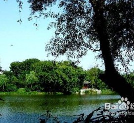 乌鲁木齐西湖旅游攻略(上海到杭州西湖旅游攻略)