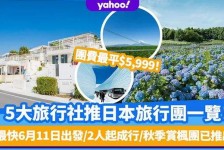 乌鲁木齐旅游价格(旅游价格机制)