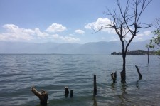 乌鲁木齐洱海旅游攻略(洱海旅游攻略自由行)