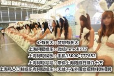 乌鲁木齐雇用旅游男伴游(北京商务酒店雇用伴游)
