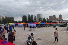 乌鲁木齐通辽伴游雇用(哈尔滨伴游雇用)