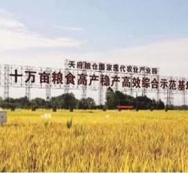 乌鲁木齐关于成都商务伴游外围雇用的信息