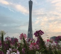 乌鲁木齐广州旅游攻略(杭州到广州旅游攻略)