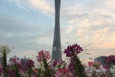 乌鲁木齐广州旅游攻略(杭州到广州旅游攻略)