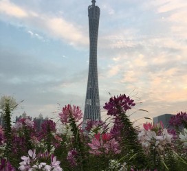 乌鲁木齐广州旅游攻略(杭州到广州旅游攻略)