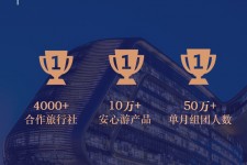 乌鲁木齐上海私人伴游 ​ “小而美”的新时代：2020年国内新跟团消费报告