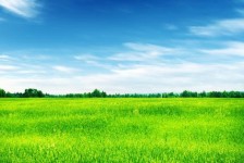 乌鲁木齐上海伴游 上海模特伴游微信号的交友宣言