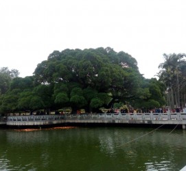 乌鲁木齐福州旅游攻略(福州旅游攻略二日游)