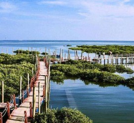 乌鲁木齐旅游哪里好玩(云南旅游哪里好玩)