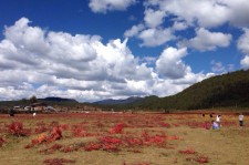 乌鲁木齐旅游去处(暑期最好的旅游去处)
